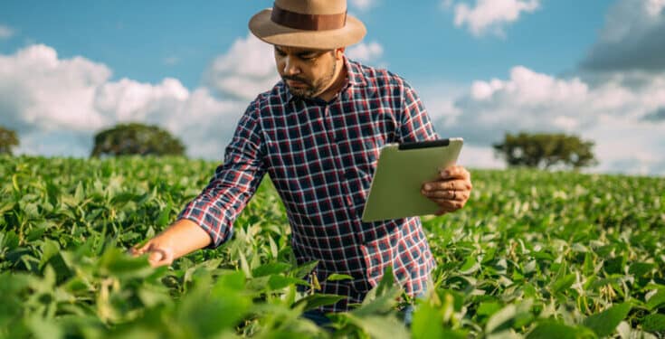 Projetos digitais impulsionam o mercado de trabalho no agronegócio