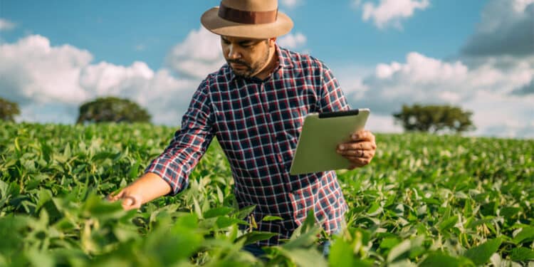Projetos digitais impulsionam o mercado de trabalho no agronegócio