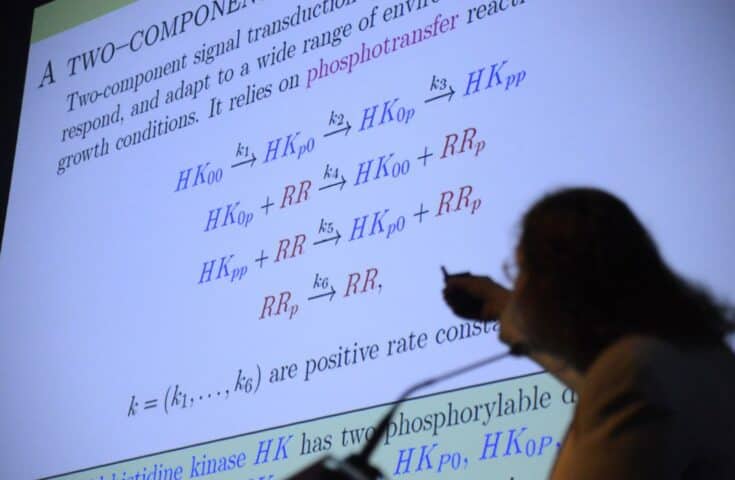 Encontro debate ensino criativo da matemática; profissionais da Educação do ES confirmam presença