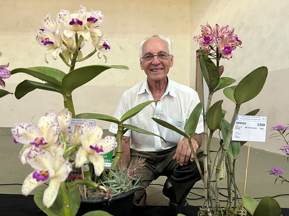 O berço das orquídeas brasileiras fica na Mata Atlântica entre ES e RJ |  Conexão Safra