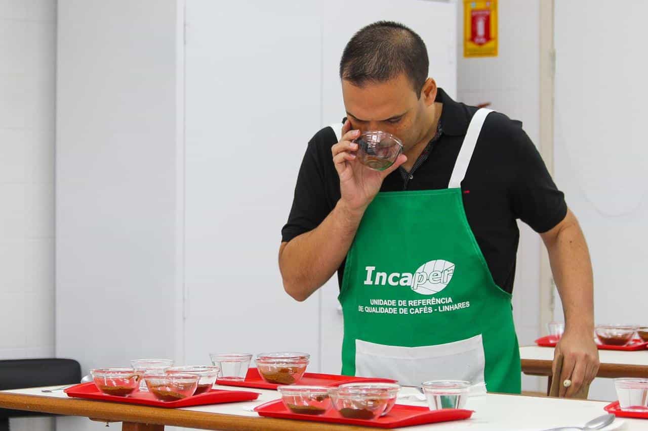 Prova de café: amostras do concurso de qualidade chegam à etapa de degustação em Linhares