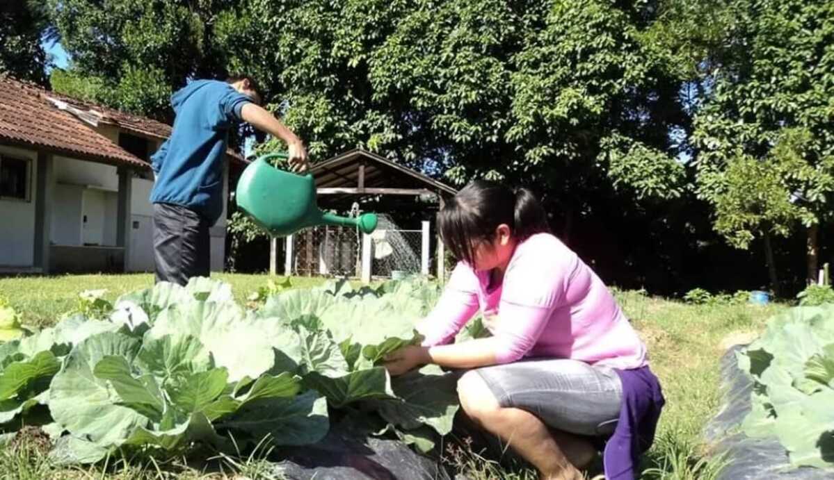 Escola Família Agrícola de Cachoeiro abre matrículas para 2023