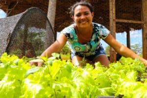 Sebrae lança app Guia do Campo para auxiliar pequenos produtores rurais
