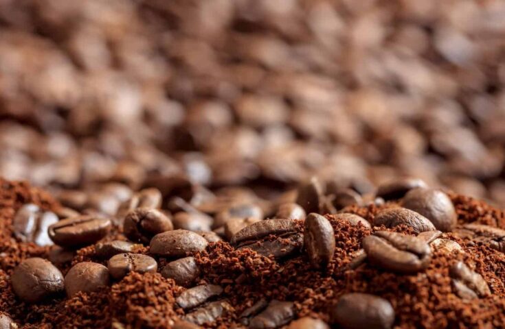Brasileiros consumiram mais de 1 mi de sacas de 60 kg de café solúvel