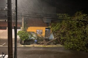 Chuva fecha estradas e deixa mais de 100 desabrigados em Linhares