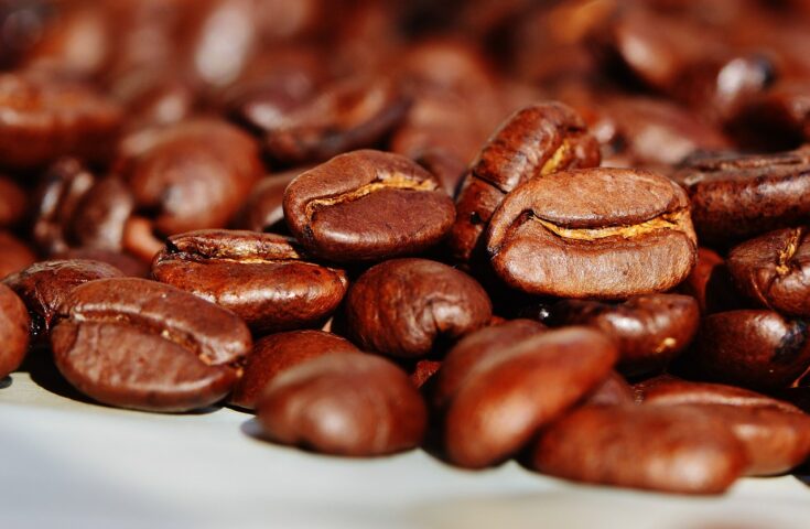Regiões Produtoras de café com Origem Controlada promovem Cupping na Semana Internacional do Café