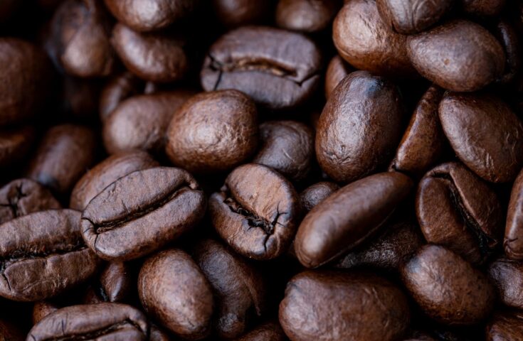 Aquecimento SIC 2022 – Secretária-Geral da Federação Europeia do Café vem ao Brasil debater o ESG na cafeicultura