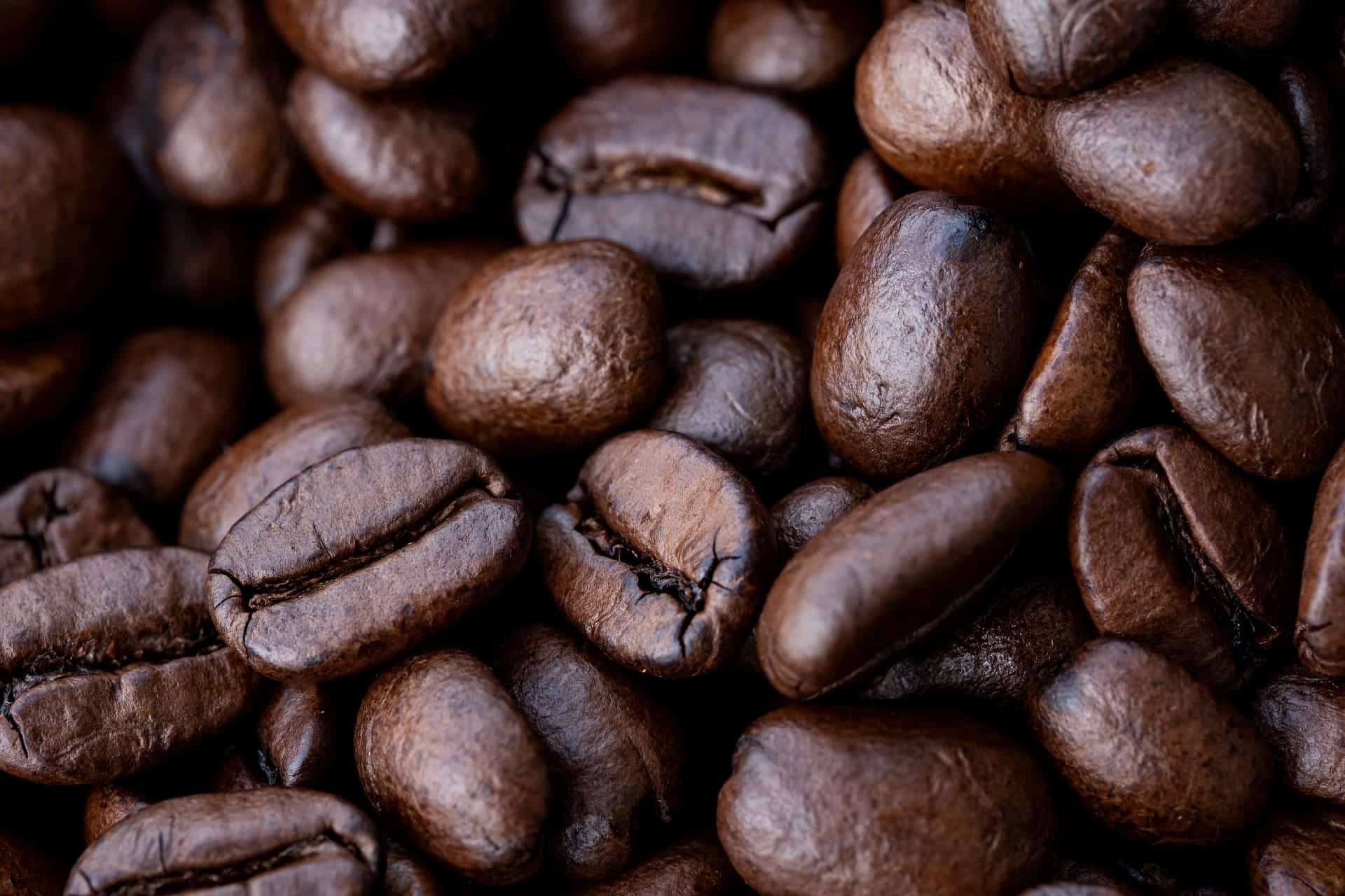 Aquecimento SIC 2022 – Secretária-Geral da Federação Europeia do Café vem ao Brasil debater o ESG na cafeicultura