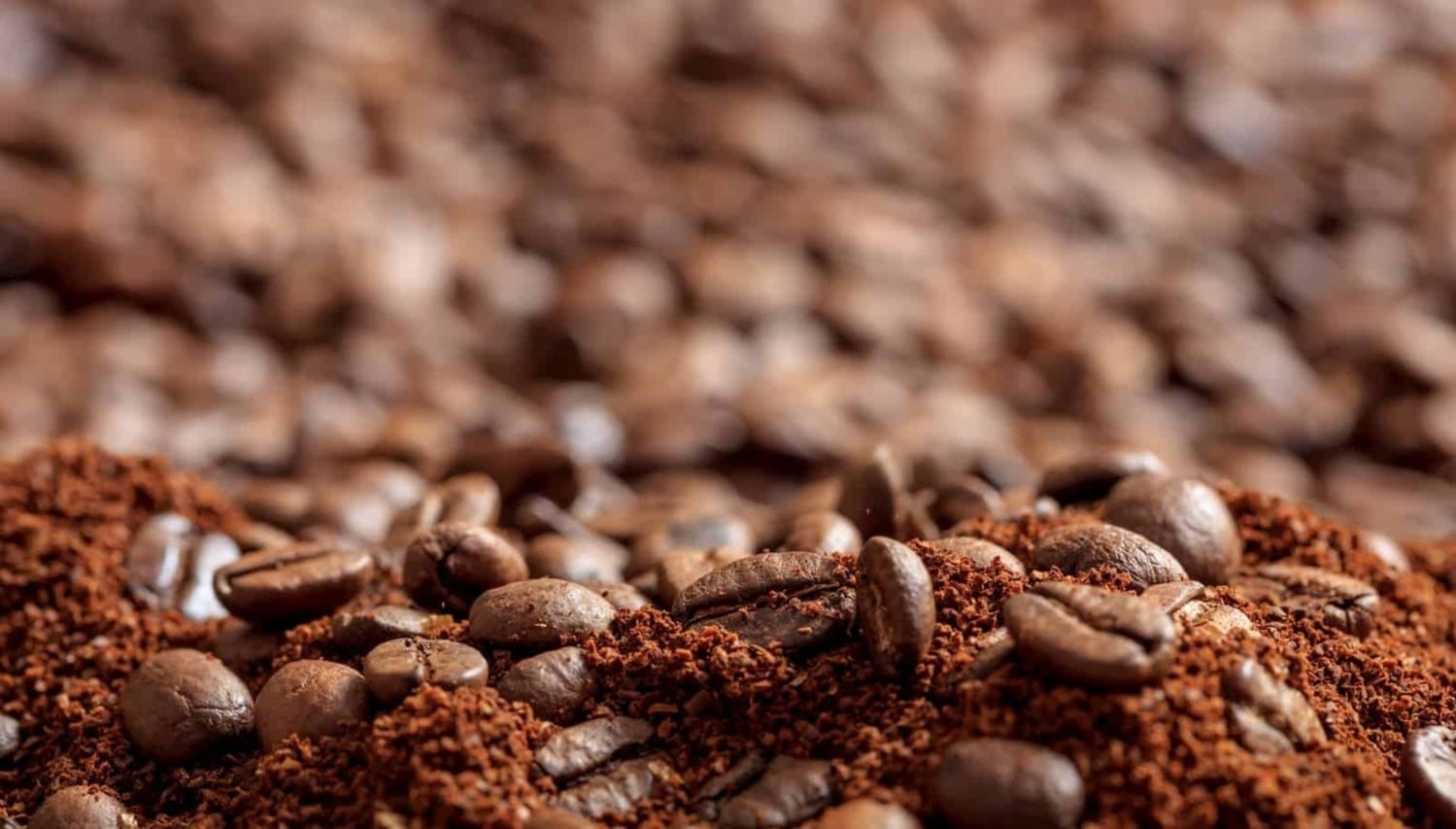 Café solúvel passará por análise de qualidade reconhecida internacionalmente, por meio de metodologia inédita criada no Brasil