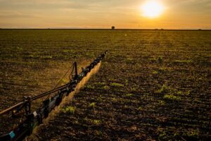 IBGE: 32% dos solos do país têm potencial natural para a agricultura