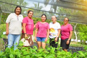 Agricultoras do Pará levam suas experiências na produção de SAF-Cacau para evento na Bahia