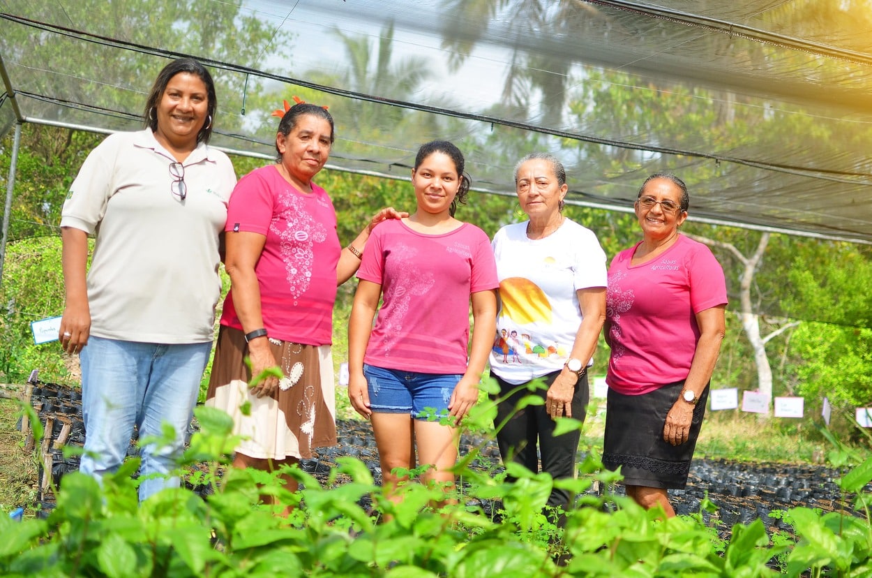 Agricultoras do Pará levam suas experiências na produção de SAF-Cacau para evento na Bahia