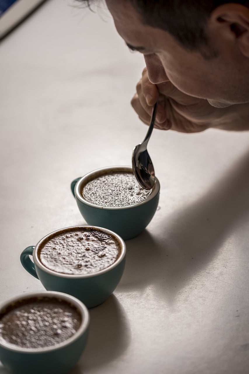 Produtores de Iúna recebem treinamento de classificação de café