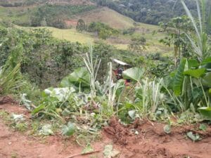 trator morte Ibitirama