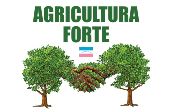 Agricultura Forte vai eleger nova diretoria
