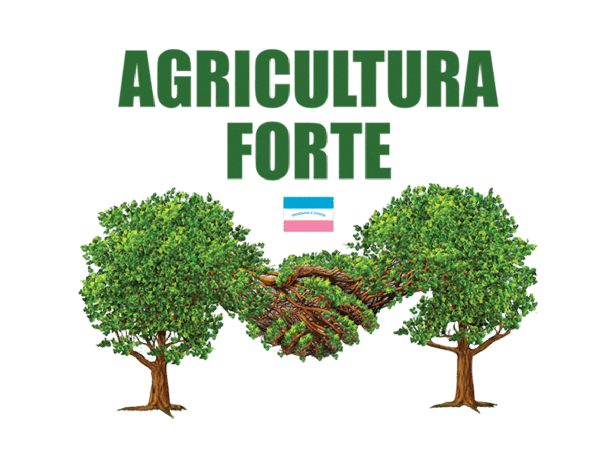 Agricultura Forte vai eleger nova diretoria