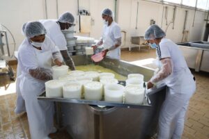 Governo do RJ disponibiliza R$ 2 milhões para produtores de leite