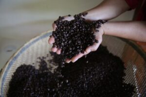 Novo padrão para café torrado entra em vigor e indústria já está se preparando