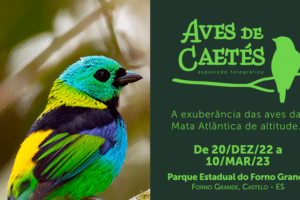 Parque Estadual do Forno Grande recebe exposição fotográfica ‘Aves de Caetés’