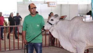 Exposul Rural Cachoeiro