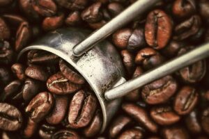 Estudo aponta viabilidade do armazenamento refrigerado de cafés especiais