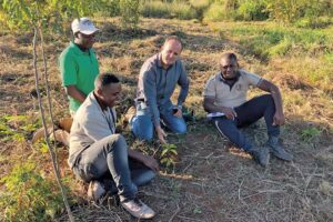 Projeto leva café sustentável a Moçambique e beneficia comunidades