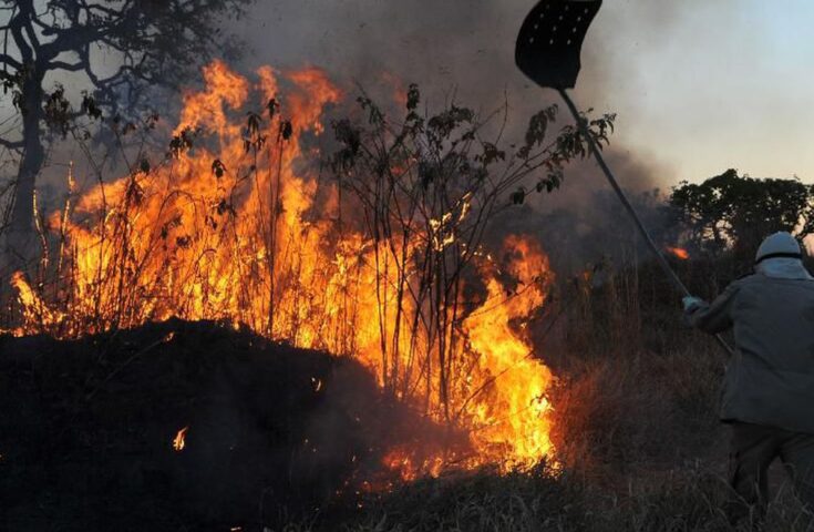 Amazônia concentra 90% da área com focos de incêndio no 1º bimestre