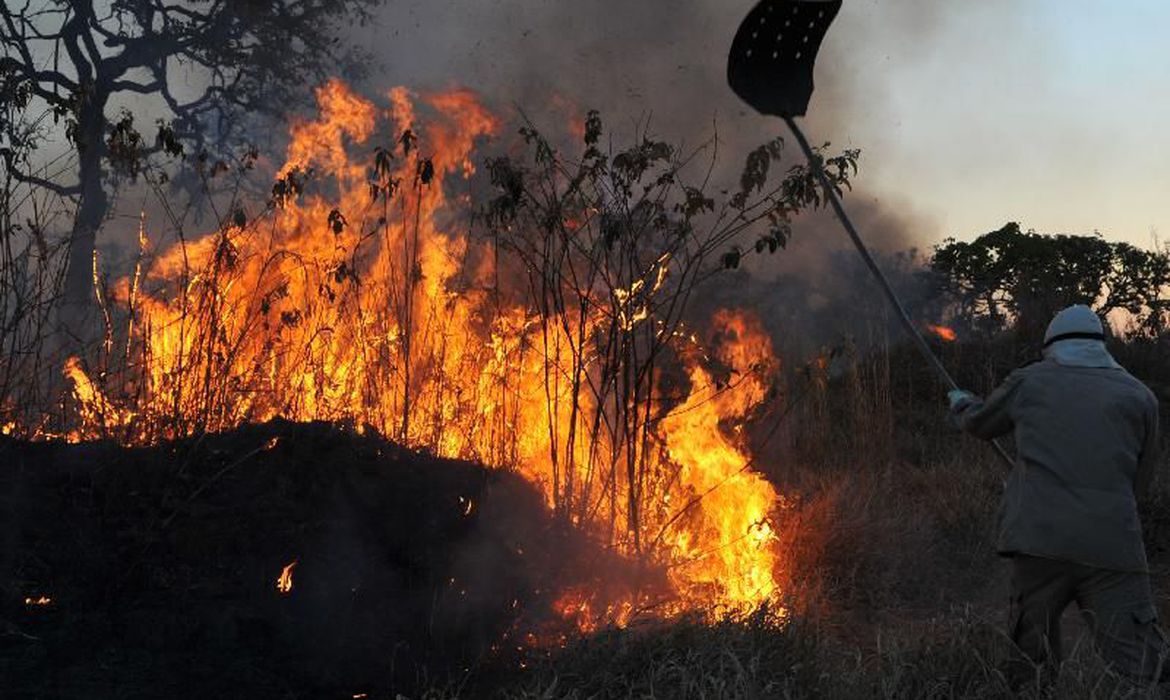 Tempo seco aumenta o número de focos de queimadas no Brasil