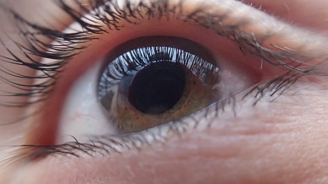 Até 2,5 milhões podem ter glaucoma no país; saiba os fatores de risco