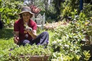 Governo do Rio oferece quase R$ 2 milhões em créditos a floriculturas