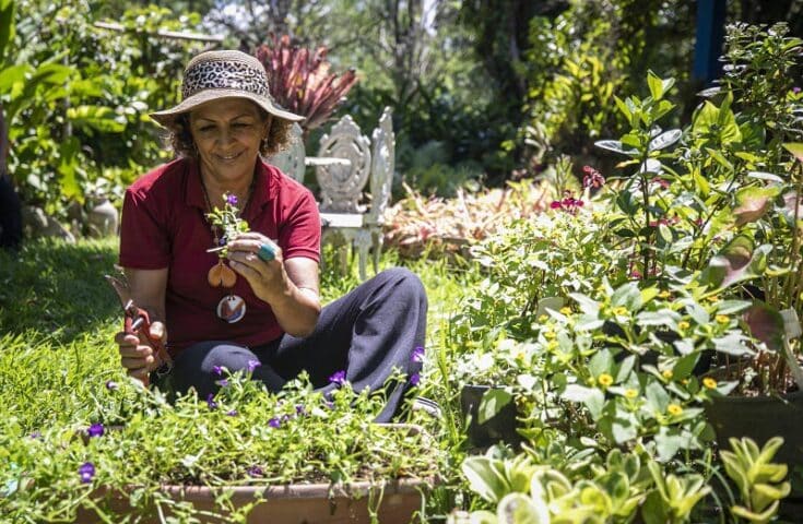 Governo do Rio oferece quase R$ 2 milhões em créditos a floriculturas