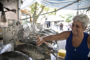 Aumenta exportação de peixes produzidos no RJ