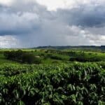 Devido ao fenômeno La Niña, o frio chega mais cedo em 2024, já em março, com massas de ar que prometem aliviar o calorão