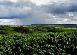Devido ao fenômeno La Niña, o frio chega mais cedo em 2024, já em março, com massas de ar que prometem aliviar o calorão
