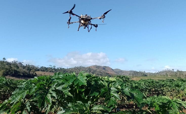 Estudo pioneiro avalia eficiência do drone pulverizador no mamoeiro