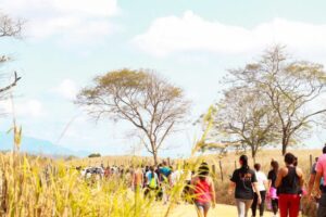 Cachoeiro apresenta projetos para turismo rural em conferência