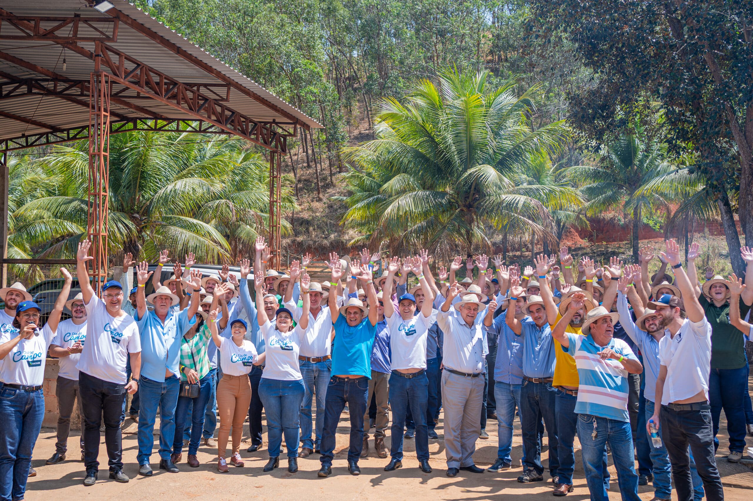 Dia do Campo: Sicoob ES comemora data e relembra projeto