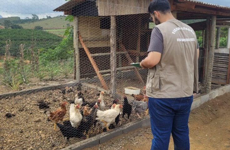 Gripe aviária: Idaf reforça orientação à população e vigilância