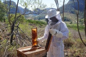 Associação de apicultores de Águia Branca celebra avanços