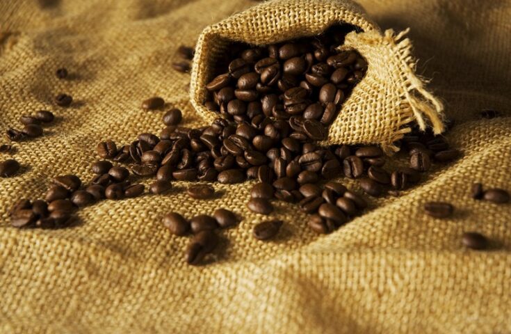 Produção mundial de café foi estimada em 171,3 milhões de sacas