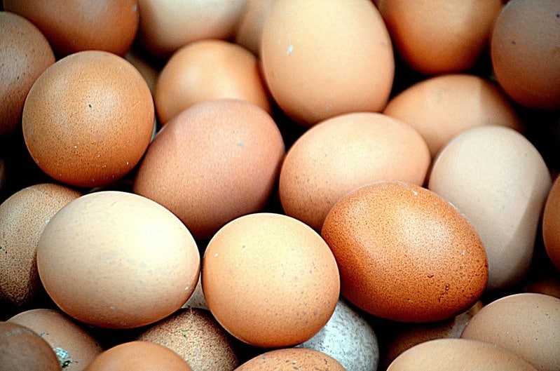 Exportações brasileiras de ovos têm receita recorde em abril