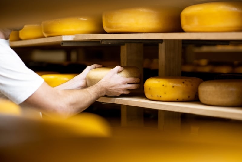 Senar promove capacitações para produção de queijos