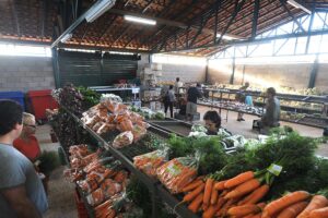 Preços da cenoura e do mamão caem nos principais mercados atacadistas