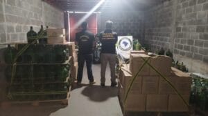 A 39ª Operação Ronda Agro, do Programa de Vigilância em Defesa Agropecuária para Fronteiras Internacionais (Vigifronteira), esteve em Santa Catarina para combater