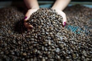 Café é a quarta maior cultura agrícola em faturamento do Brasil