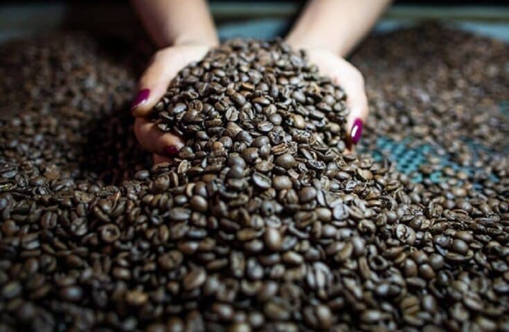 Café é a quarta maior cultura agrícola em faturamento do Brasil