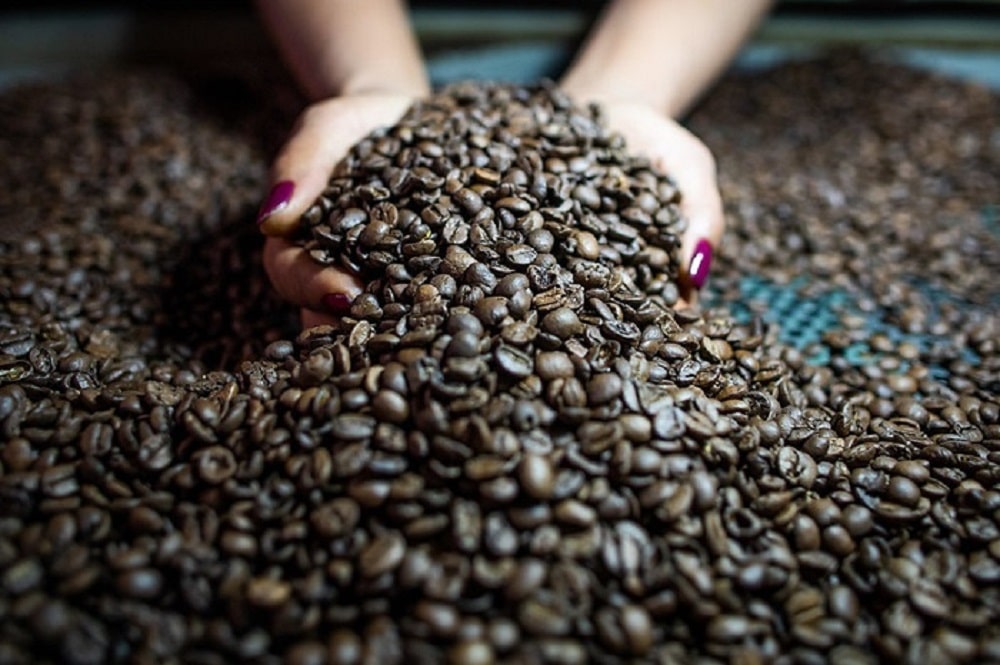 Saiba por que o preço do café arábica tem oscilado tanto em 2024
