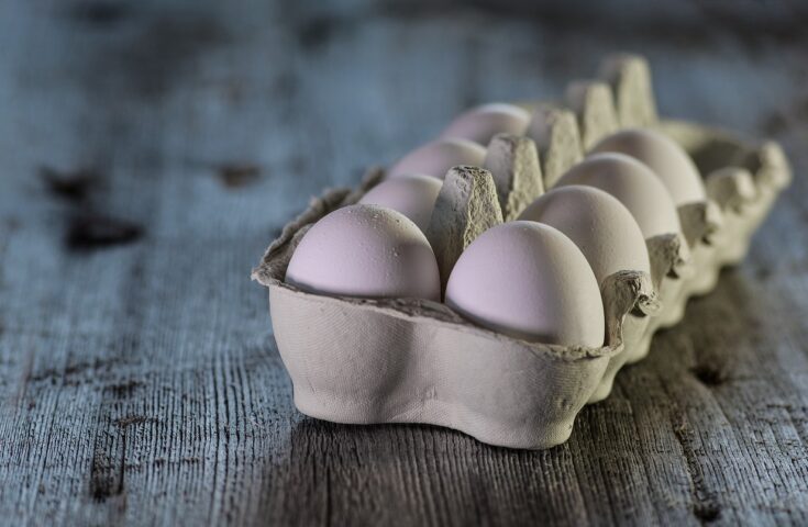 Preço dos ovos termina fevereiro com alta de 20%
