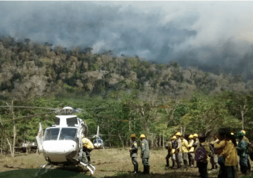 Pesquisa identifica áreas com riscos de incêndios florestais no ES