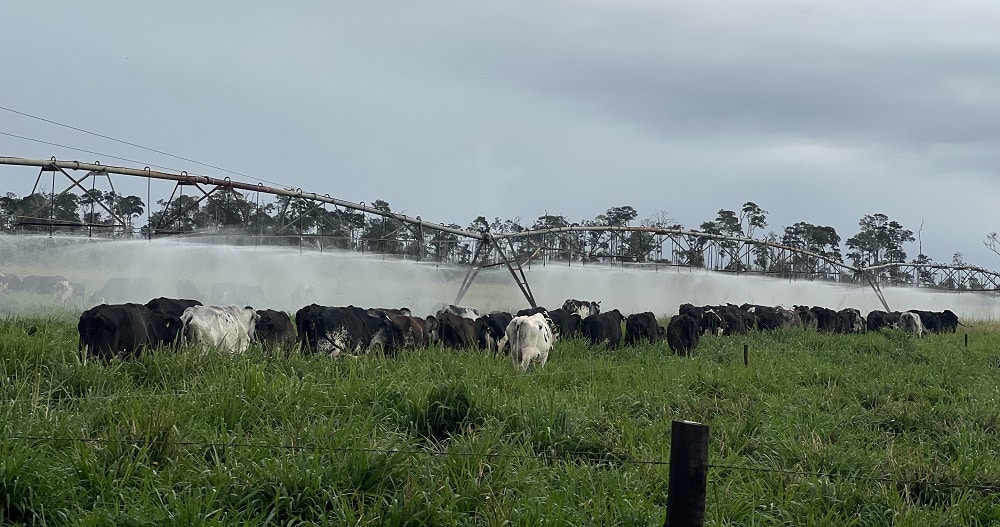 Espírito Santo avança na criação de polo de agricultura irrigada